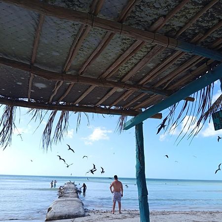 Mi Habitat Holbox-Maravilla Natural Екстериор снимка