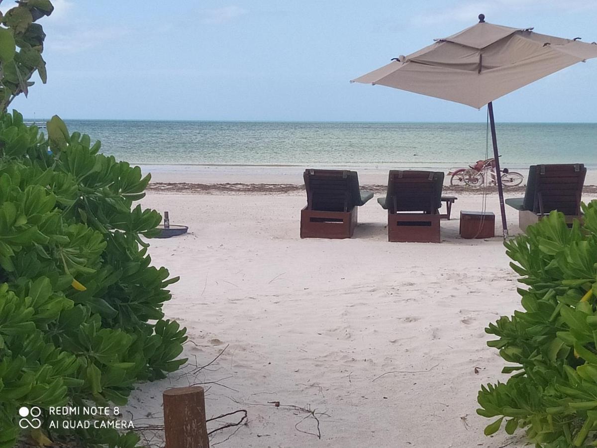 Mi Habitat Holbox-Maravilla Natural Екстериор снимка