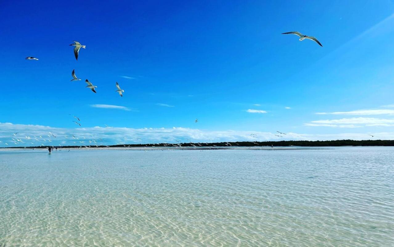 Mi Habitat Holbox-Maravilla Natural Екстериор снимка
