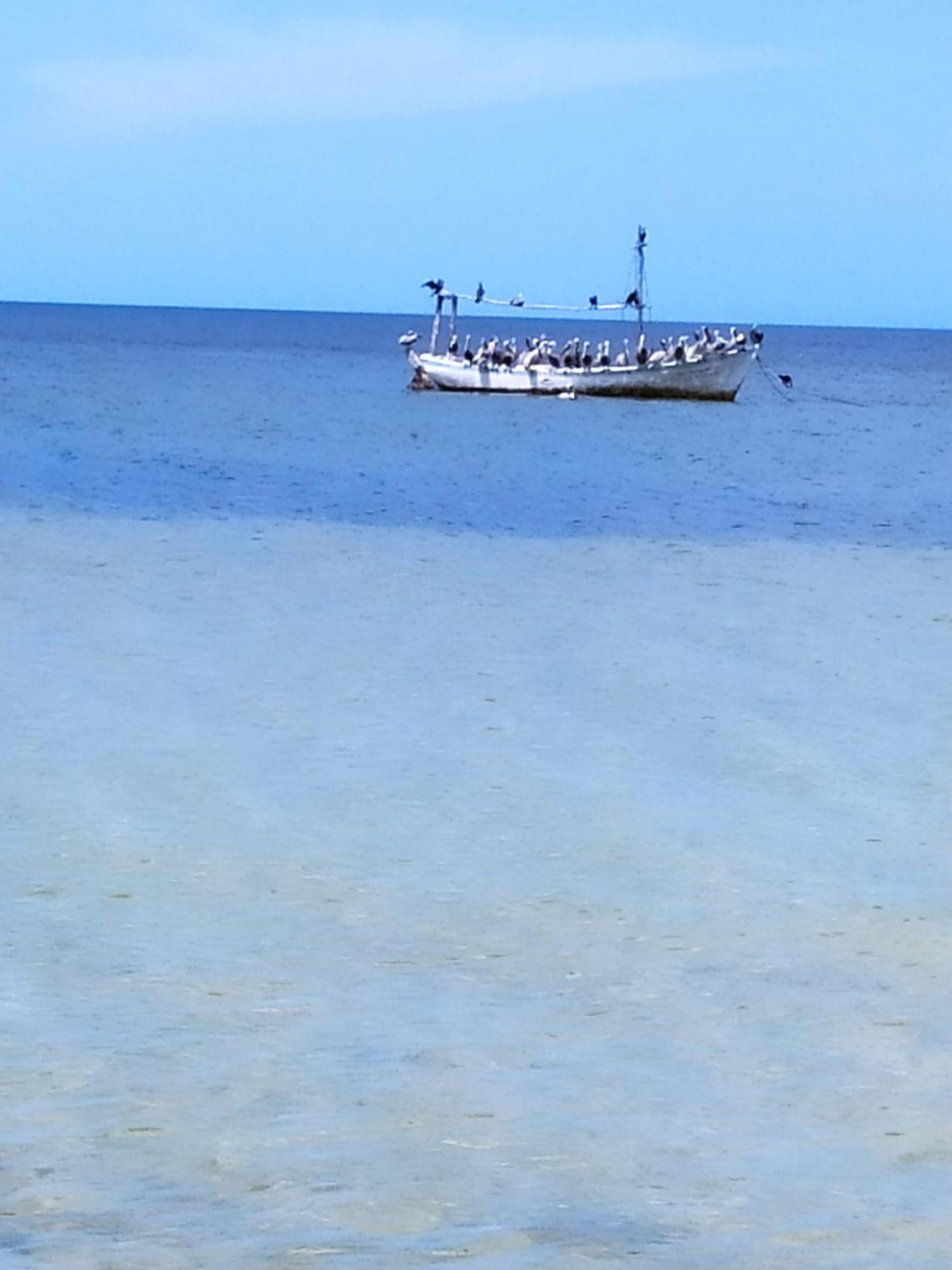 Mi Habitat Holbox-Maravilla Natural Екстериор снимка