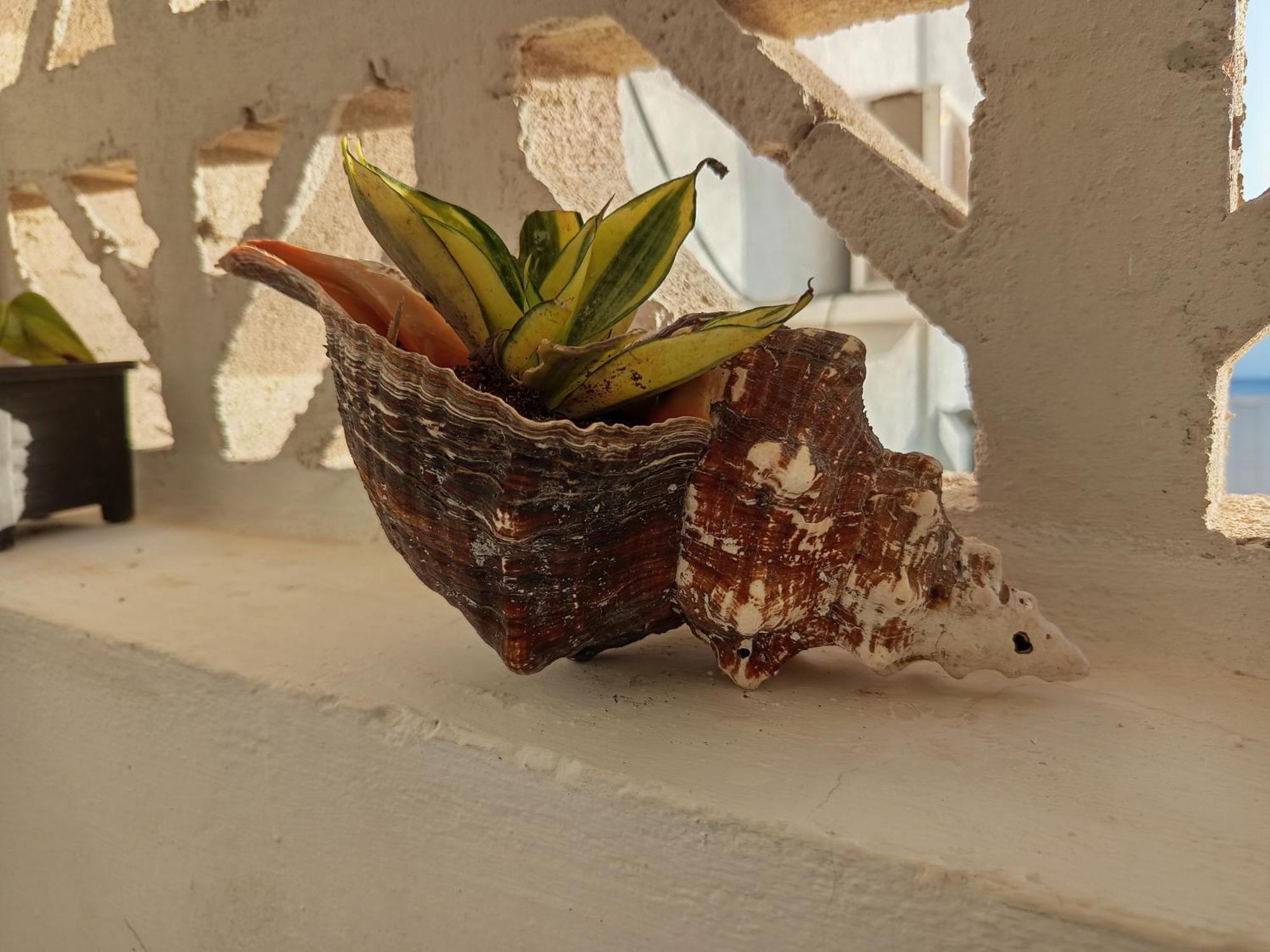 Mi Habitat Holbox-Maravilla Natural Екстериор снимка