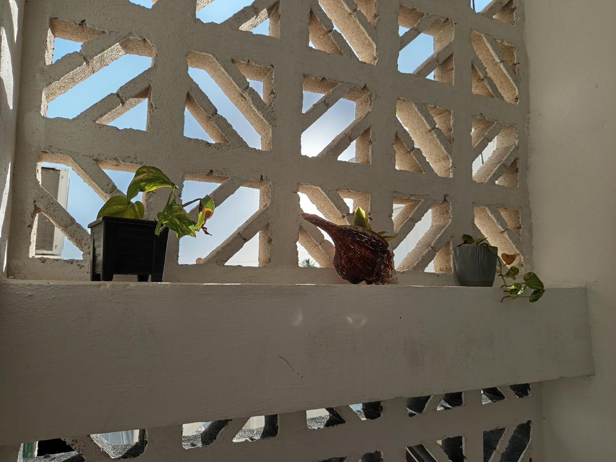 Mi Habitat Holbox-Maravilla Natural Екстериор снимка