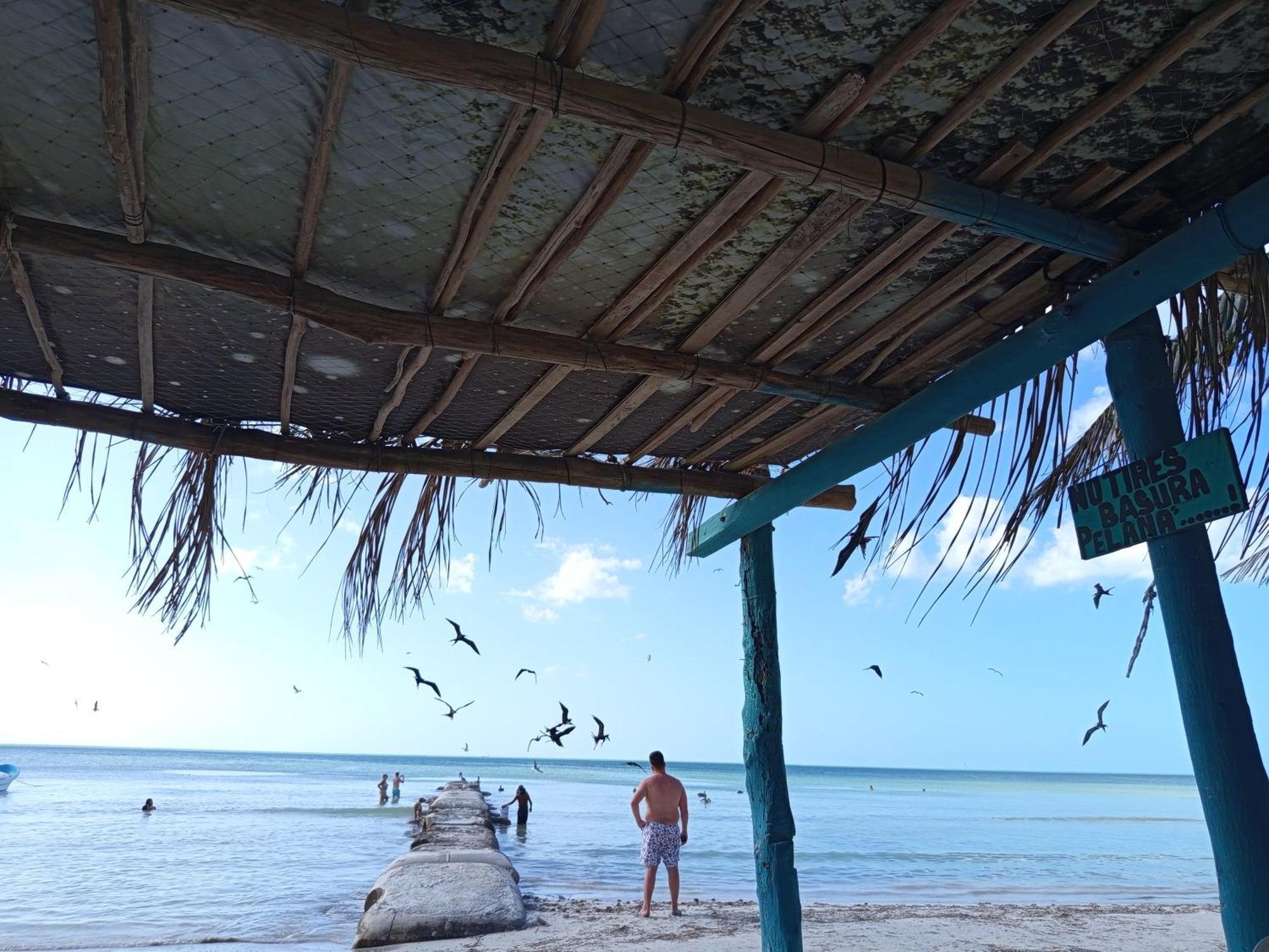 Mi Habitat Holbox-Maravilla Natural Екстериор снимка